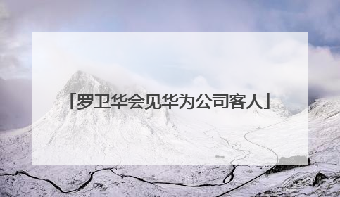 罗卫华会见华为公司客人
